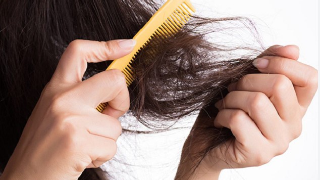 Penyebab Rambut Kering dan Cara Mengatasinya Agar Tetap Sehat
